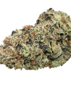 Kootenayz Exoticz - AAAA+ Sherbetto