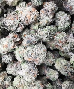 Green Valley's AAAA Alien Cookies Smalls