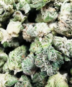 Green Valley's AAAA Pink Candy Kush Smalls