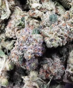 AAAA Gas Mask Smalls