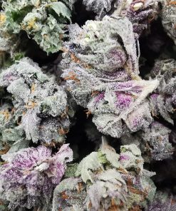 Wedding Crasher Smalls