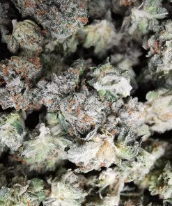 AAA+ Pink Comatose Smalls