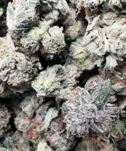 AAAA Bubba Bombers Smalls