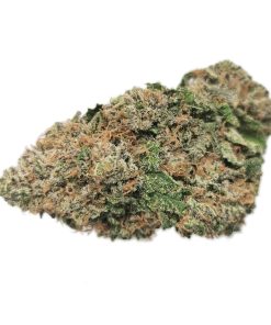 AAA+ Rainbow Sherbet