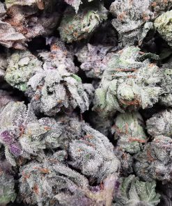 AAA+ Larry OG Smalls