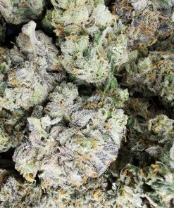 Kootenayz Exoticz - AAAA Purple Ayahuasca