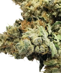 Kootenayz Exoticz - AAAA Fire OG