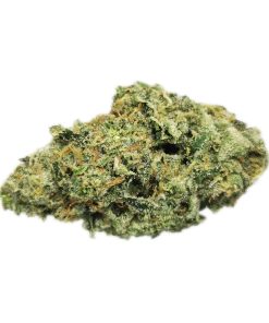 Kootenayz Exoticz - Goji Haze AAAA+