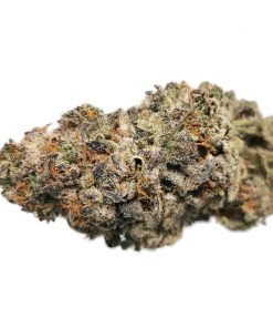 AAAA Purple Punch Breath