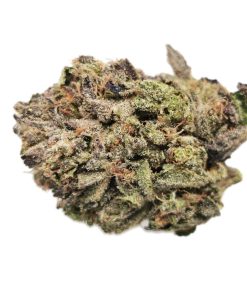 AAA+ Purple Gas Mask