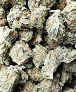 AAAA Golden State Banana Smalls