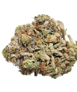 AAAA Long Island Pink