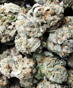 AAA+ Space Berry Smalls