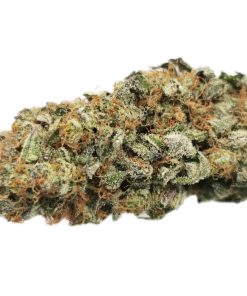 Kootenayz Exoticz - AAAA Black Cherry OG