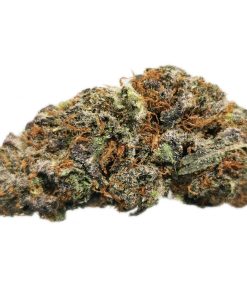 Kootenayz Exoticz - AAAA+ Diamond Mine