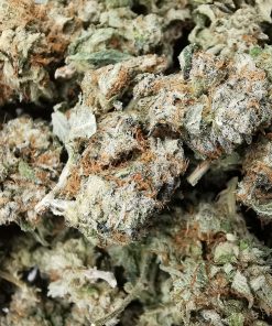 Northern Lights Smalls