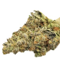 Kootenayz Exoticz - AAAA+ L.S.O. Orange Ade