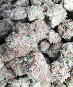 Green Valley's AAAA Citrus Haze Smalls