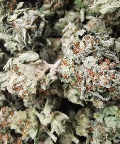 AAA+ Gas Cookies Smalls