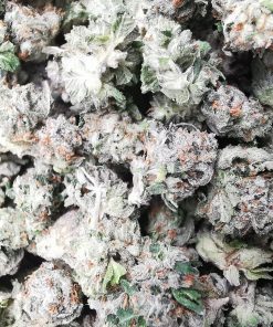 AAA+ Chemdawg Smalls