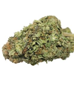 AAA+ Blueberry Express