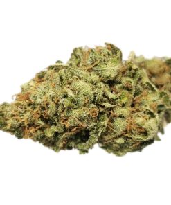 AAA+ Girl Scout Cookies