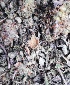 AAAA+ Bubba Kush Trim