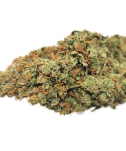 Kootenayz Exoticz's AAAA Super Lemon Haze