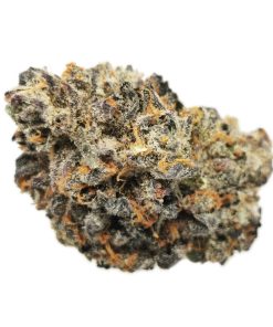 Kootenayz Exoticz's AAAA+ Wedding Fuel