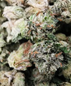 AAAA BlueFin Tuna Smalls