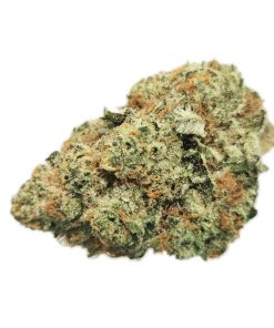 Kootenayz Exoticz's AAAA+ Chem Jack