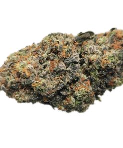 Kootenayz Exoticz's AAAA+ DMO