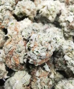 Kootenayz Exoticz's AAAA Sugar Breath Smalls