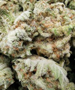 Kootenayz Exoticz's AAAA Black Indica Smalls