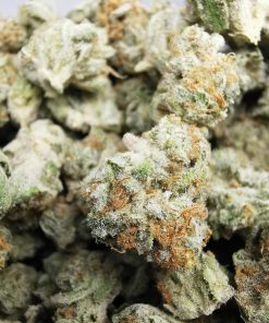 Kootenayz Exoticz's AAAA Arnold Palmer Smalls