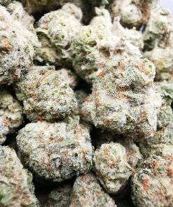 Kootenayz Exoticz's AAAA Runtz Smalls