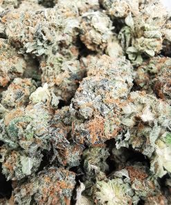 AAA+ Jack Herer Smalls