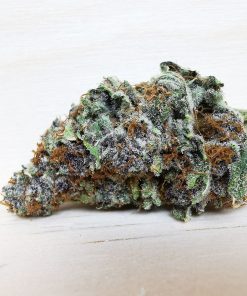 Kootenayz Exoticz's AAAA Jade Breath