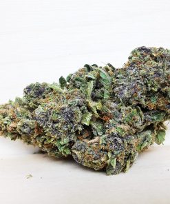 Kootenayz Exoticz’s AAAA Pinky Tuscadero