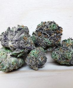 Kootenayz Exoticz's AAAA Peyote Purple Smalls