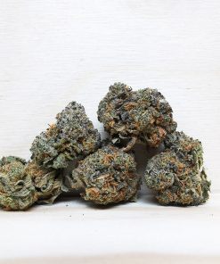 AAA+ Grease Monkey Smalls