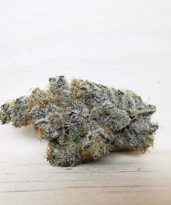 Kootenayz Exoticz's AAAA+ Cactus Breath