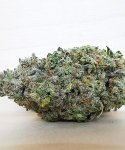 AAA+ Sophie's Breath