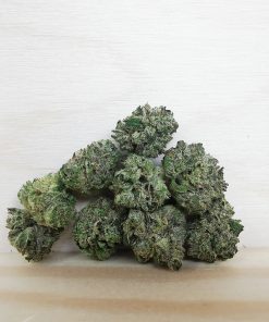 AAA+ Pink Panther Smalls