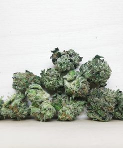 AAAA Island Rockstar Smalls