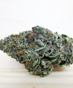 Kootenayz Exoticz’s AAAA Dream Queen