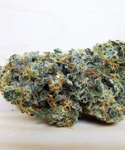 Kootenayz Exoticz’s AAAA+ Jagermeister