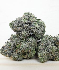 AAA+ Rockstar Tuna Med.