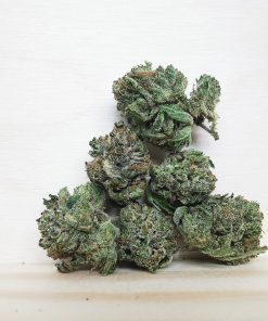 AAA+ Island Sweet Skunk Smalls