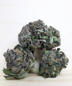 AAA+ Island Pink Med.